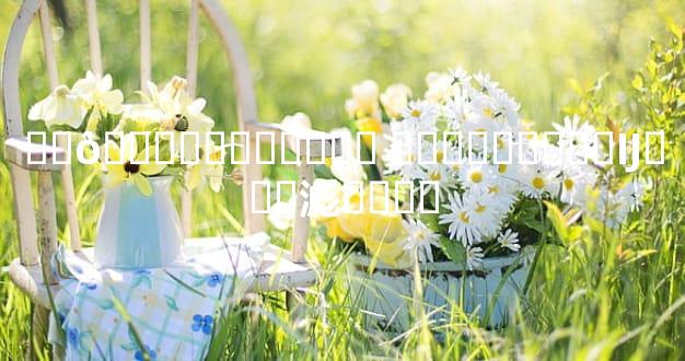 ��ô������ʵսָ�� ��ͨ�˿���صĲƸ��滮����